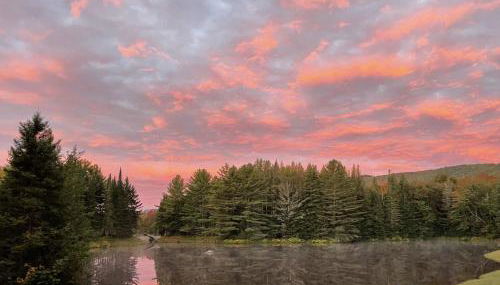 White Birch Mirror House at FarAway Pond - Foto 5