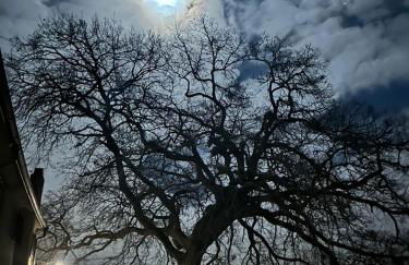 Podere il Giurato - Foto 67