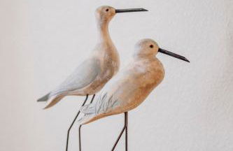 The Salty Turtle - Foto 17