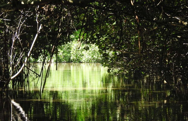 Paseo en barco por la Vía Parque Isla de Salamanca - Foto 3