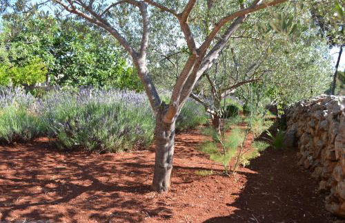 Apartments Basina - Foto 67