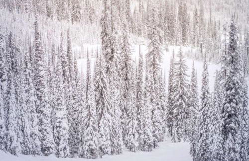 Capitol Peak Lodge by iTrip Aspen Snowmass - Foto 70