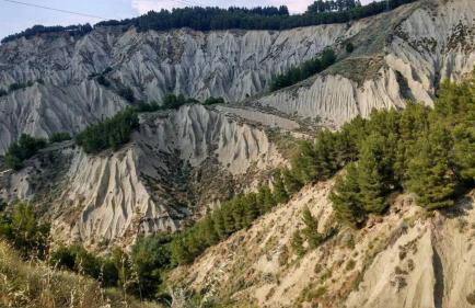 La Buona Volta - Foto 18