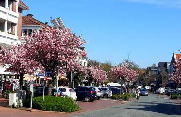 Haus Sonneneck 2 - Foto 13