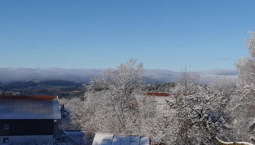 Schreinerhof - Foto 3