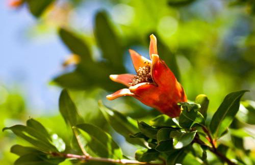 I Sassi Di San Giuseppe - Foto 45