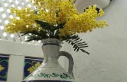 Imperial - Parking gratis - Foto 22