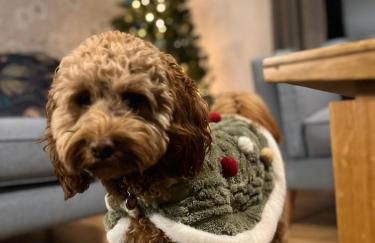 Lagnaha Cottage - Foto 37