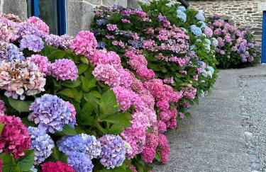 Les gîtes de Tréguennec - Photo 51