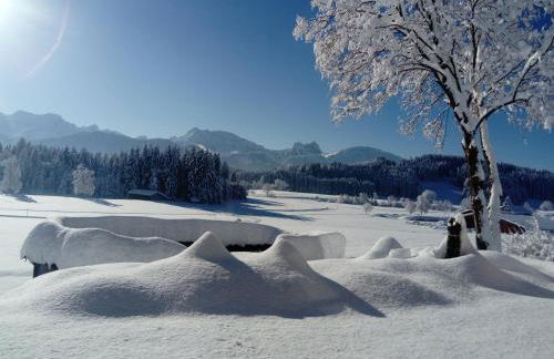 Fewo Alpenblick im Haus Wiedemann - Foto 18
