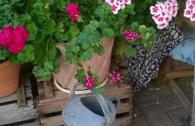 Apartment Meyerhof - Foto 6