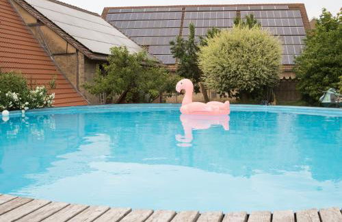 Ferienhof Henn - Foto 22