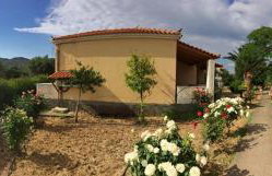 Oasis Studios Skala Kallonis - Foto 47
