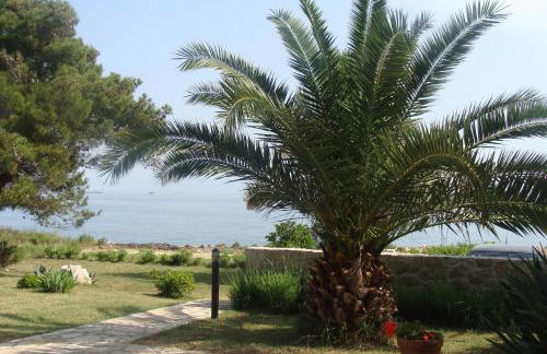 Holiday Home Mirna - Foto 60