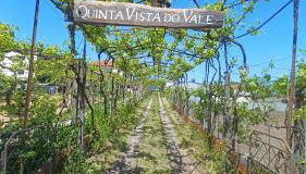 Quinta Vista do Vale - Foto 2