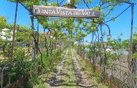 Quinta Vista do Vale - Foto 2