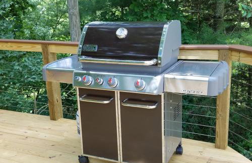 3BR Pet Friendly Cottage Mathias WV - Foto 19