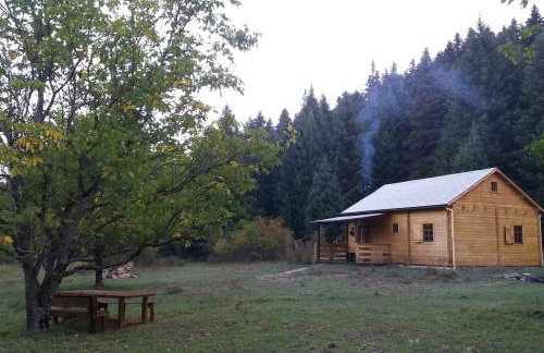 Wood Cabins by the River - for Nature Lovers - Photo 46