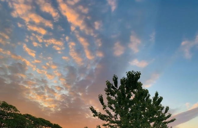 The Garden Rooms - Foto 76