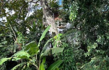 Refúgio na Serra Condomínio em Olaria, Nova Friburgo-RJ - Foto 62