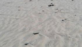 Apartamento La Zarzuela - Foto 2