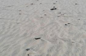 Apartamento La Zarzuela - Foto 2