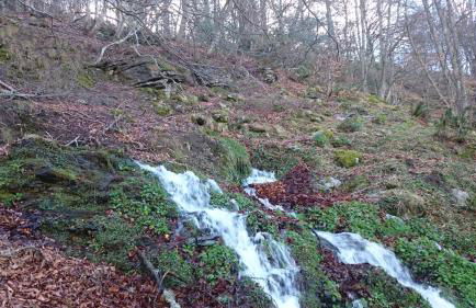 Apartamentos Peña Ubiña - Foto 7