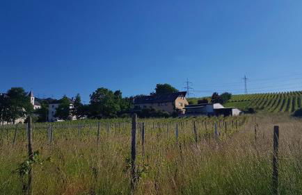 Ferienwohnung "Auf Plandert" - Foto 14