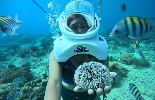 Seawalking a Willemstad - Foto 4