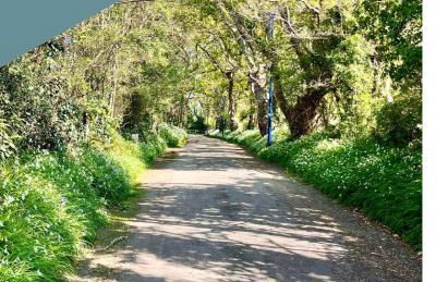 Maison Kerheol - Foto 18