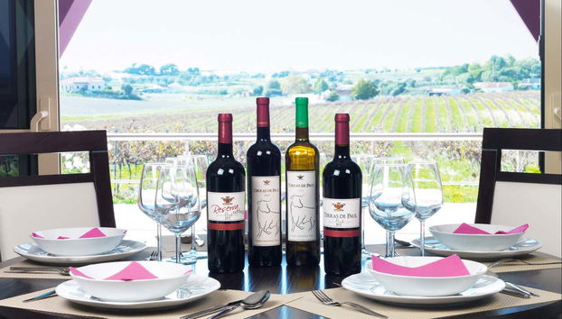 Visitando la bodega Quinta Monteiro de Matos