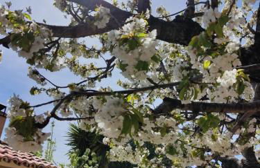 Casa Rural El Regajo Valle del Jerte - Foto 80