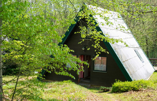 Waldglück - Photo 18