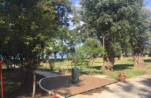 Nisteri Seaside - Photo 30