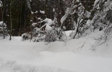 Apartamento Canfranc - Foto 49