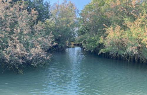 Vivere Nient'Altro between port and historic center - Foto 52