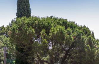 La dimora del verde con piscina - Foto 58