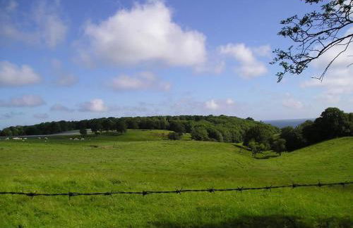 Le Manège - Foto 33
