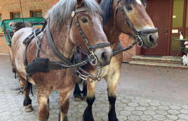 Ferienhaus unter Reet im Heidedorf Sankt Dionys bei Lüneburg - Foto 51