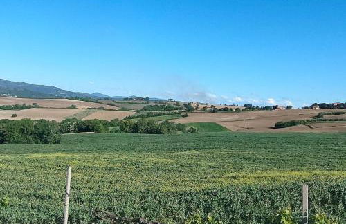 Agriturismo Giorgini - Foto 13