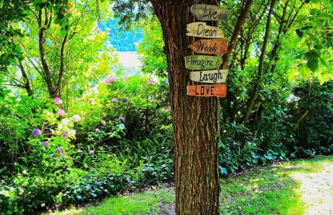 Impeccable 5 Bed House in Santa Cruz do Douro - Foto 43