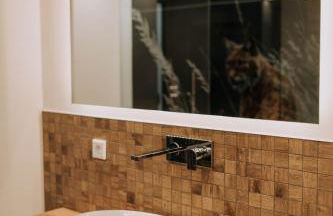 Waidlerland Waldkirchen Chalets - Foto 14