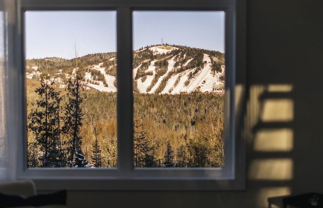 Le Sherpa -spa Billard et acc s au lac - Foto 17