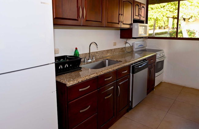 Playa Prieta Beachfront Villas - Photo 41