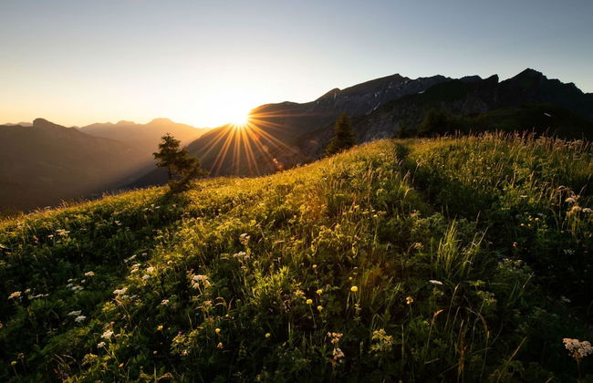 Bel Appartement au Centre de Champéry Avec vue - Photo 18