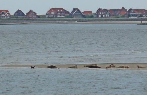 Studio mit Meerblick auf die Robbenbänke von Norderney, geschützter Südwestbalkon - Foto 5