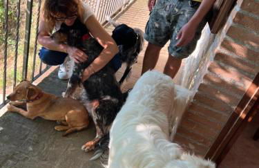 SetterHouseAgriHotel - Photo 41