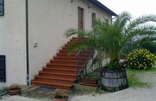 Cardinal Girolamo - Foto 74