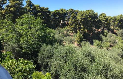 VILLA PINETA VISTA MARE - Foto 53