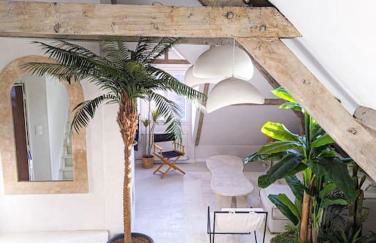 Jungle's Tours Une Oasis en Plein Cœur de la Ville - Photo 10